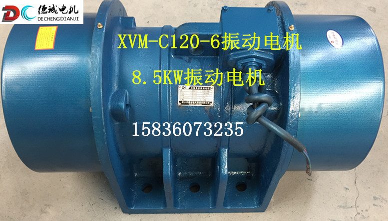 XVM-C 120-6振動(dòng)電機(jī)_副本.jpg